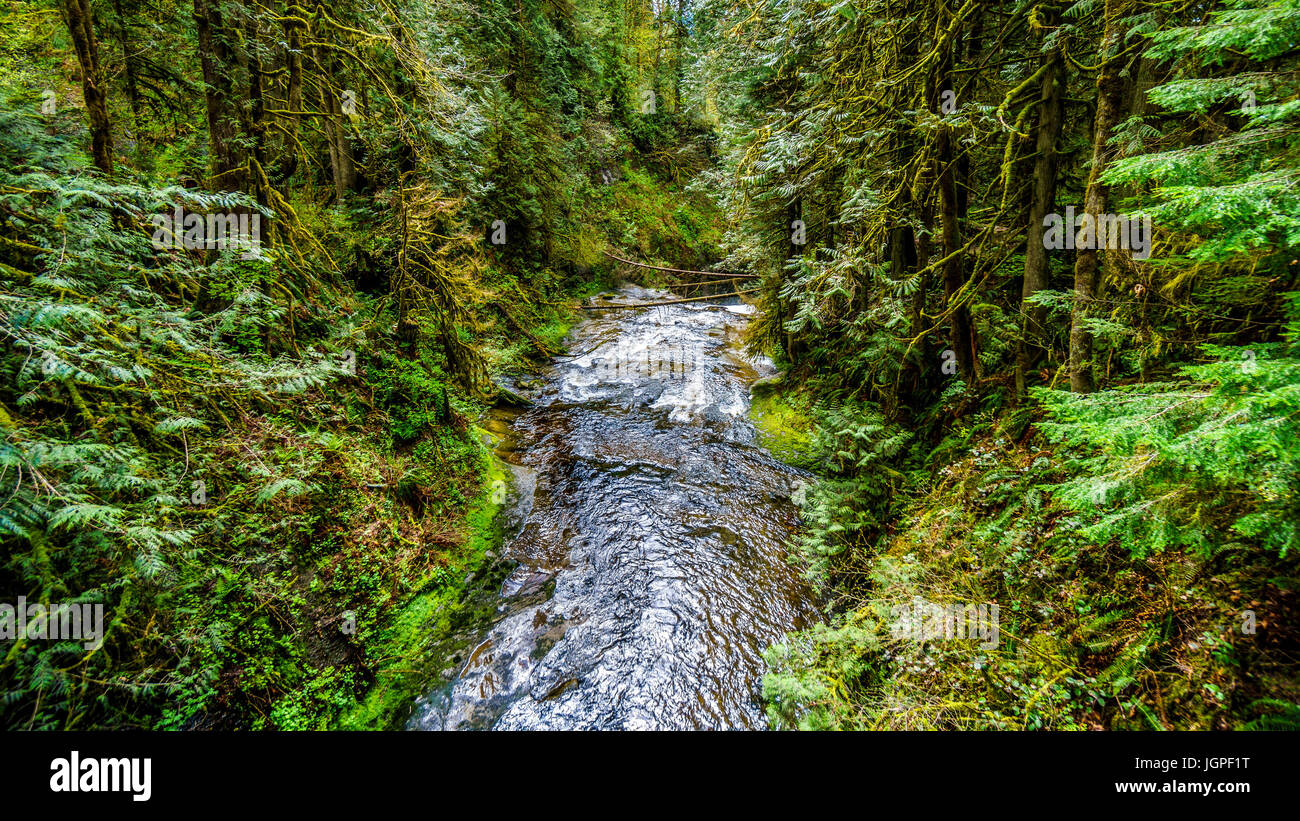Rocce, alberi e massi nel salmone habitat di una veloce che scorre Kanaka Creek in Kanaka Creek Parco Regionale vicino a Maple Ridge British Columbia, Canada Foto Stock