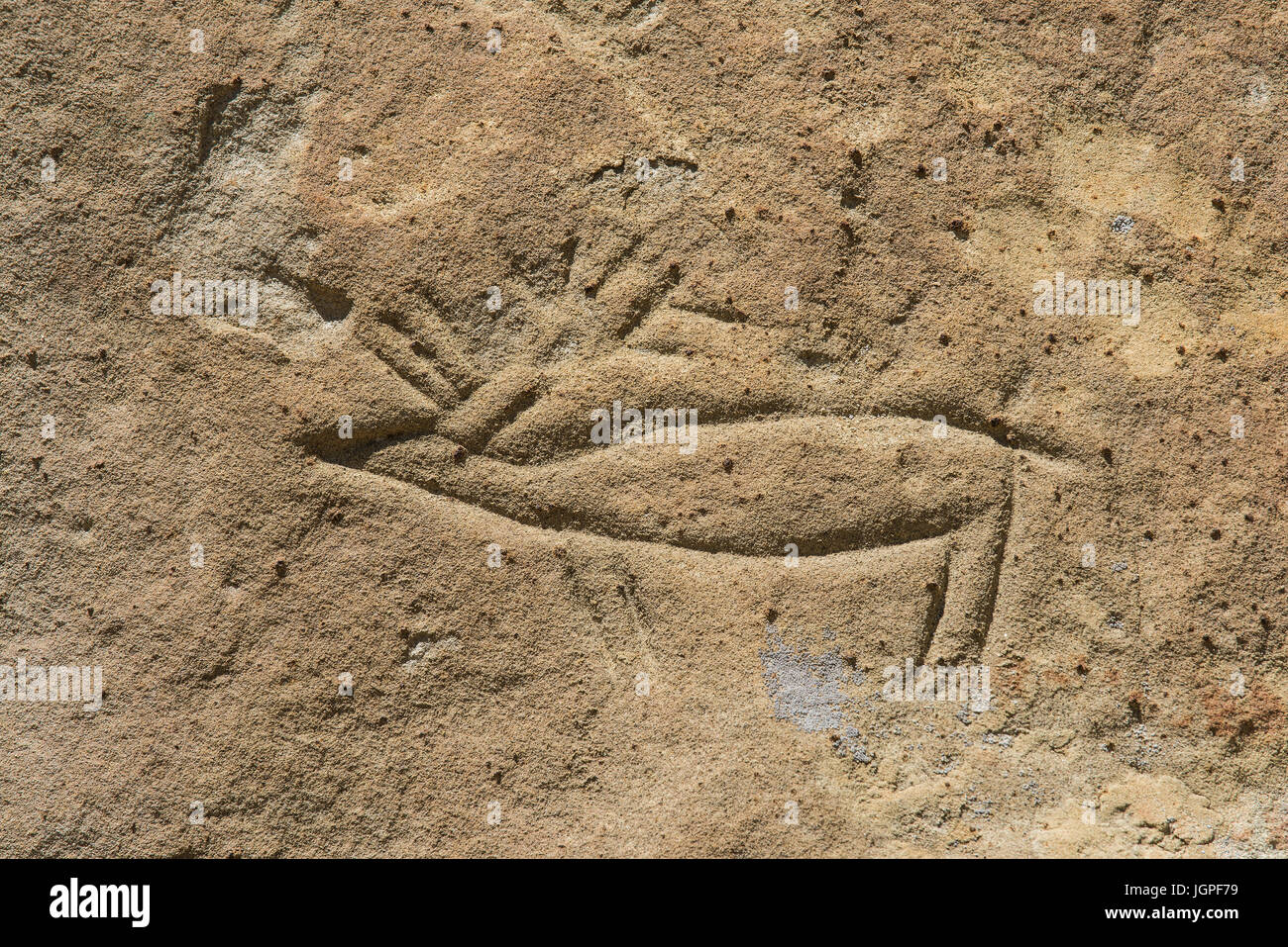 Sculture di Elk, Montagna Bianca incisioni rupestri, Wyoming usa da Bruce Montagne Foto Stock