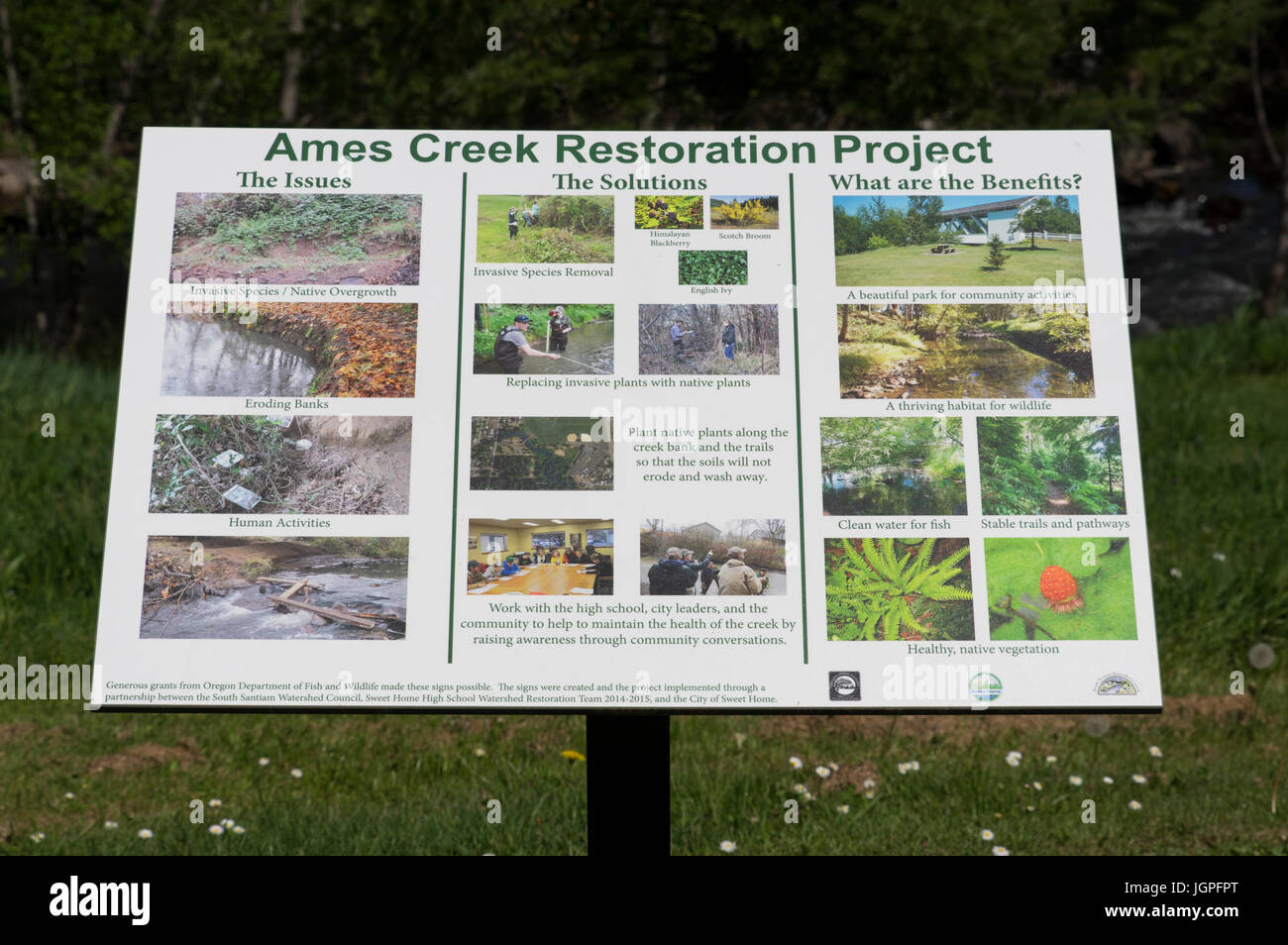 Progetto di restauro segno su Ames Creek in Sankey Park. Sweet Home, Oregon Foto Stock