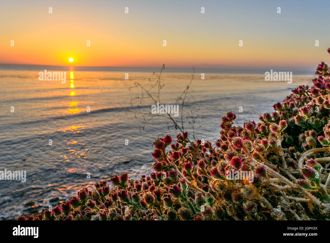 Guardare il tramonto dal lato di una scogliera vicino a Rancho Palos Verdes, CA Foto Stock