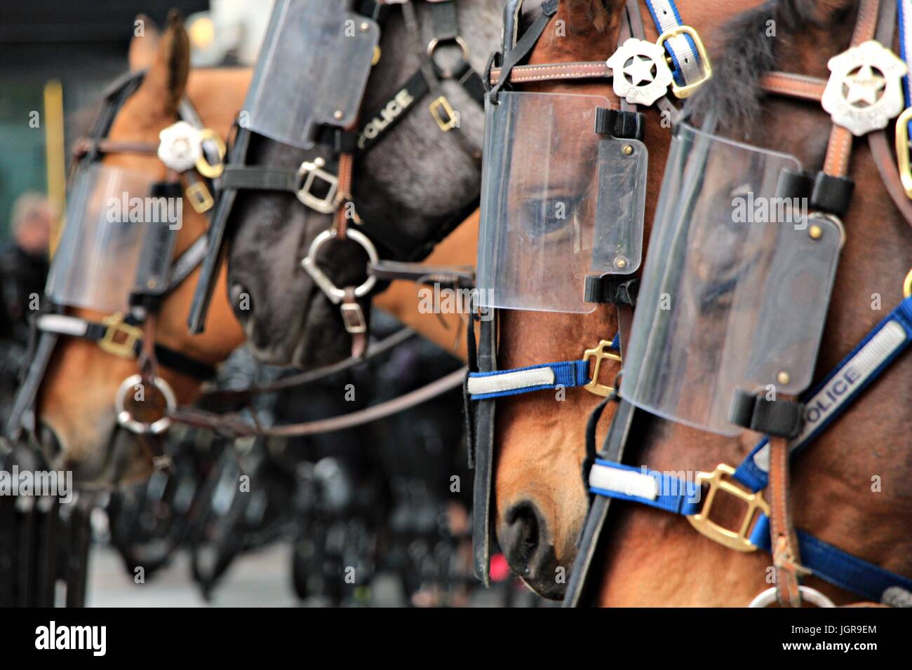 I cavalli della polizia antisommossa indossa armor Foto Stock