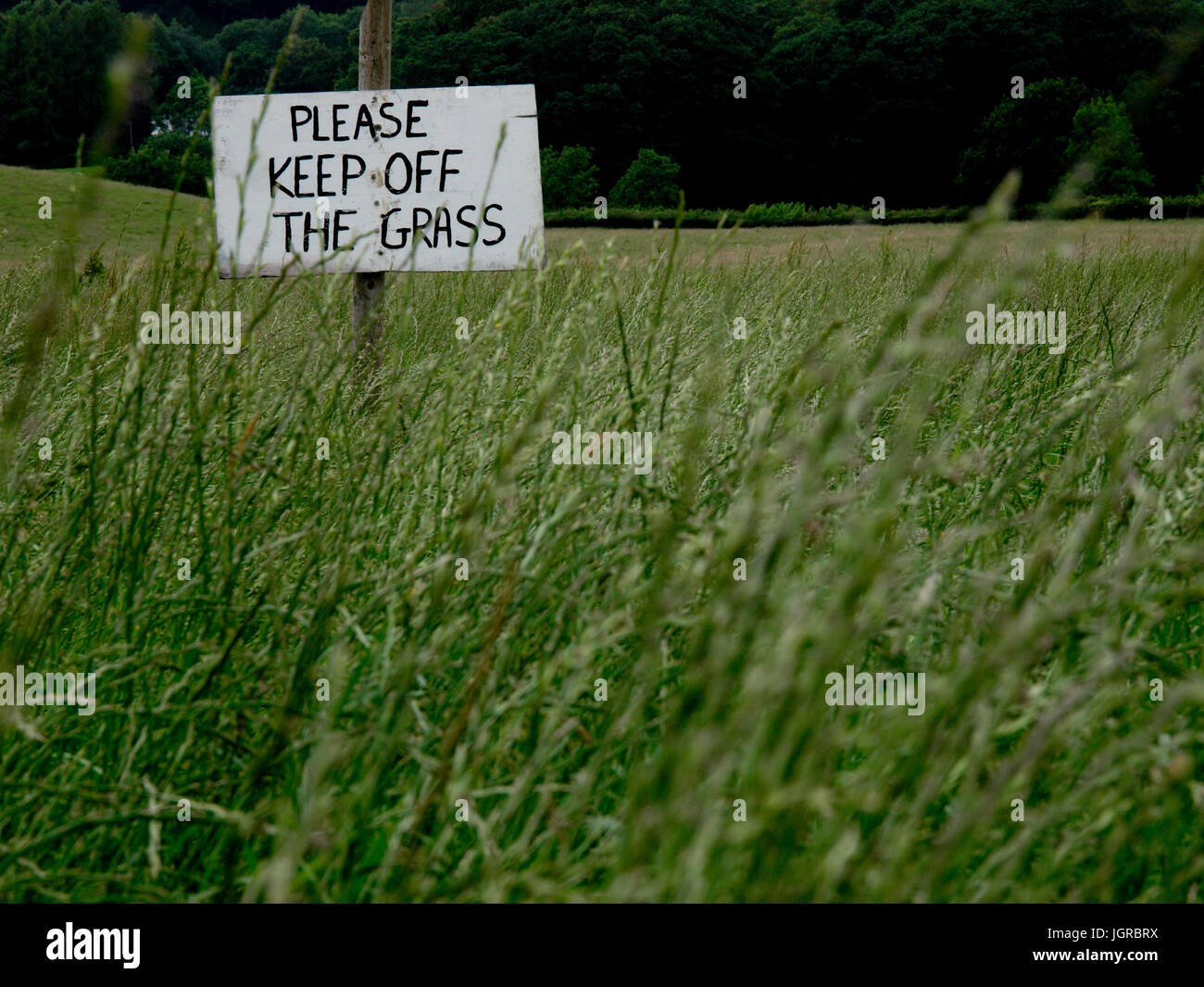 Si prega di mantenere spento il segno d'erba su un campo di erba lunga, Coniston, Cumbria, Regno Unito Foto Stock