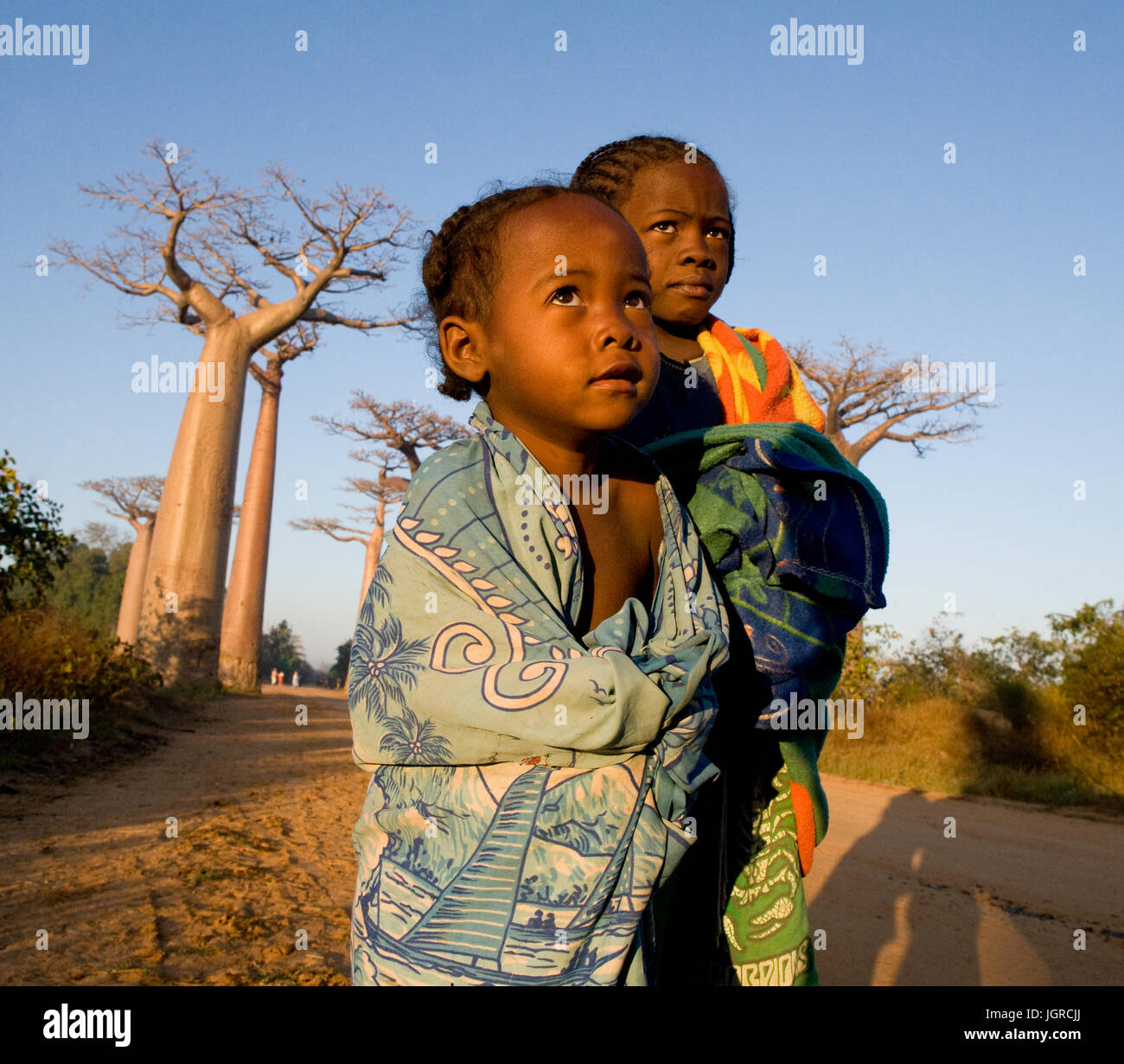 MADAGASCAR, Morondava - Agosto 10, 2011: i bambini sul vicolo di baobab nelle prime ore del mattino. Madagascar, Morondava. Agosto 10, 2011. Foto Stock