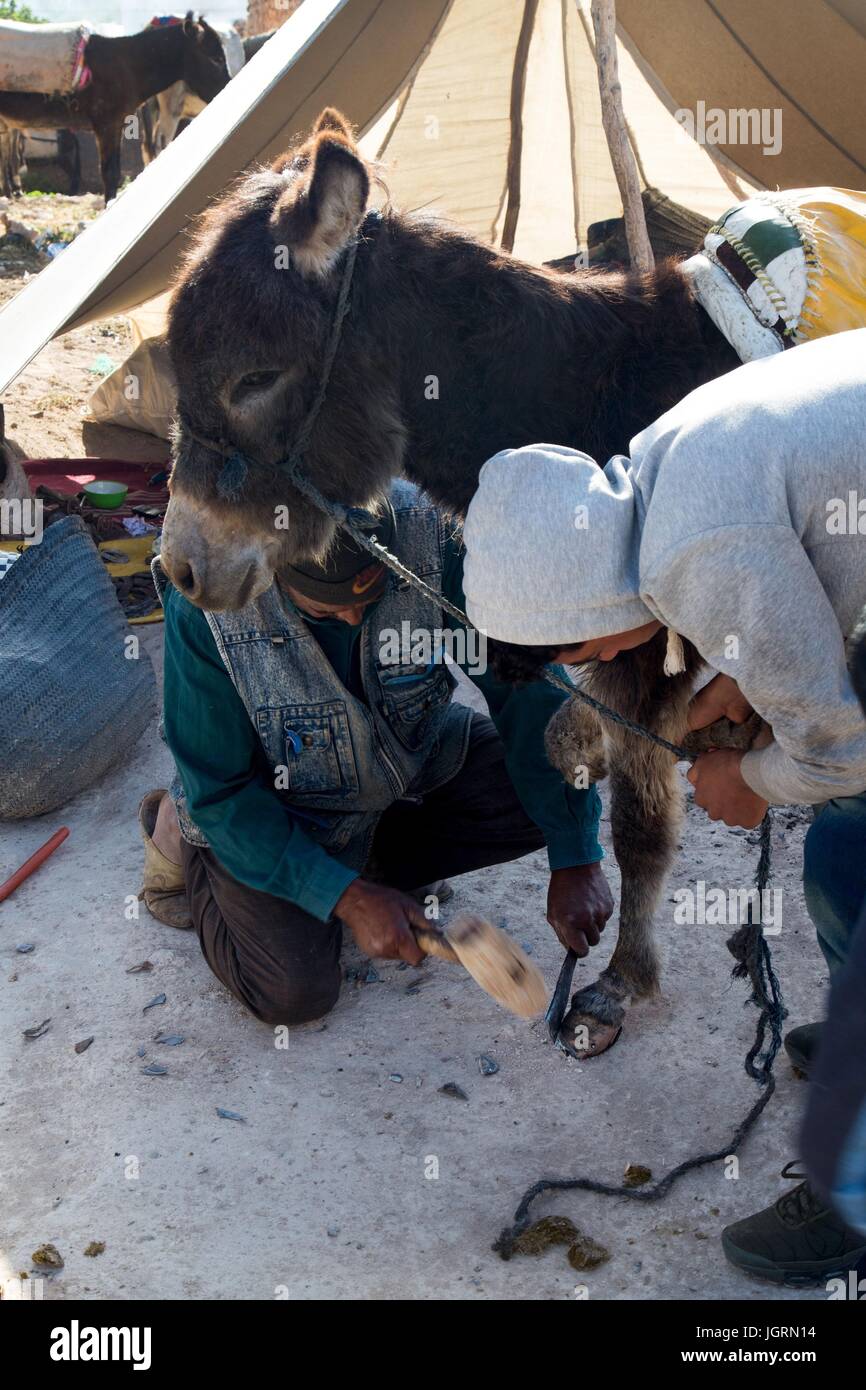 ,ESSAOUIRA MOGADOR,città portuale,COSTA ATLANTICA,Marocco,AFRICA SETTENTRIONALE Foto Stock