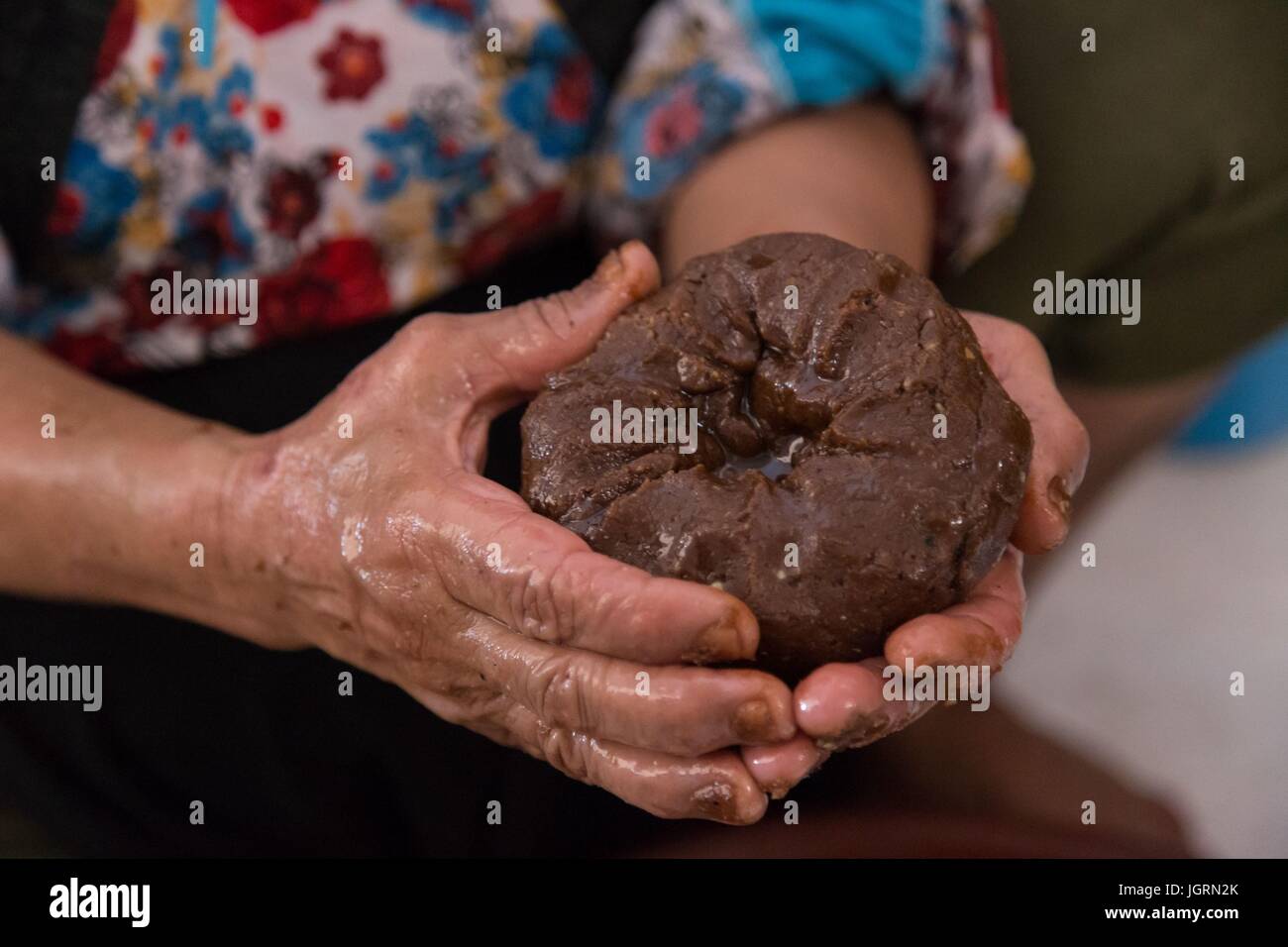 Olio di Argan,sud,Essaouira Mogador,Marocco,AFRICA SETTENTRIONALE Foto Stock