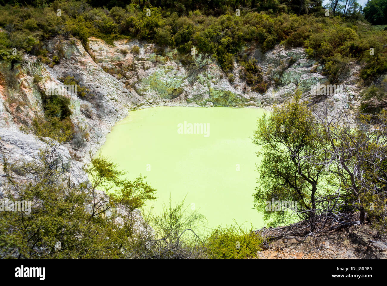 Waiotapu Thermal Wonderland,Rotorua, Nuova Zelanda Foto Stock