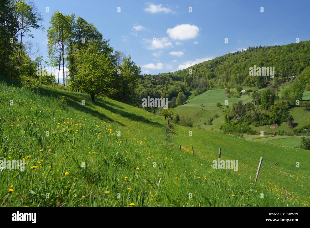 Verde e lussureggiante campagna con le colline in primavera Foto Stock