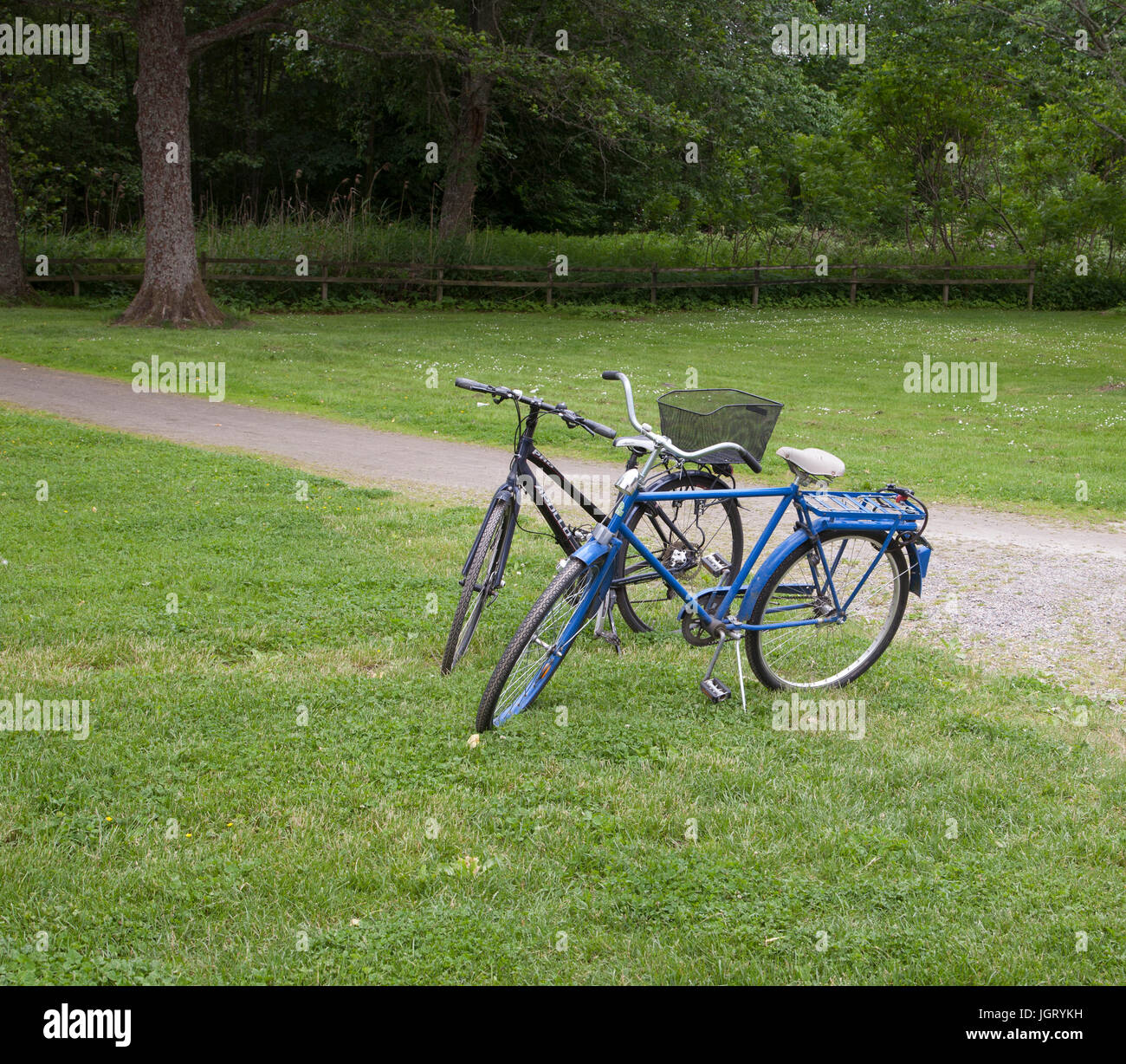 Moto parcheggiata in un parco 2017 Foto Stock