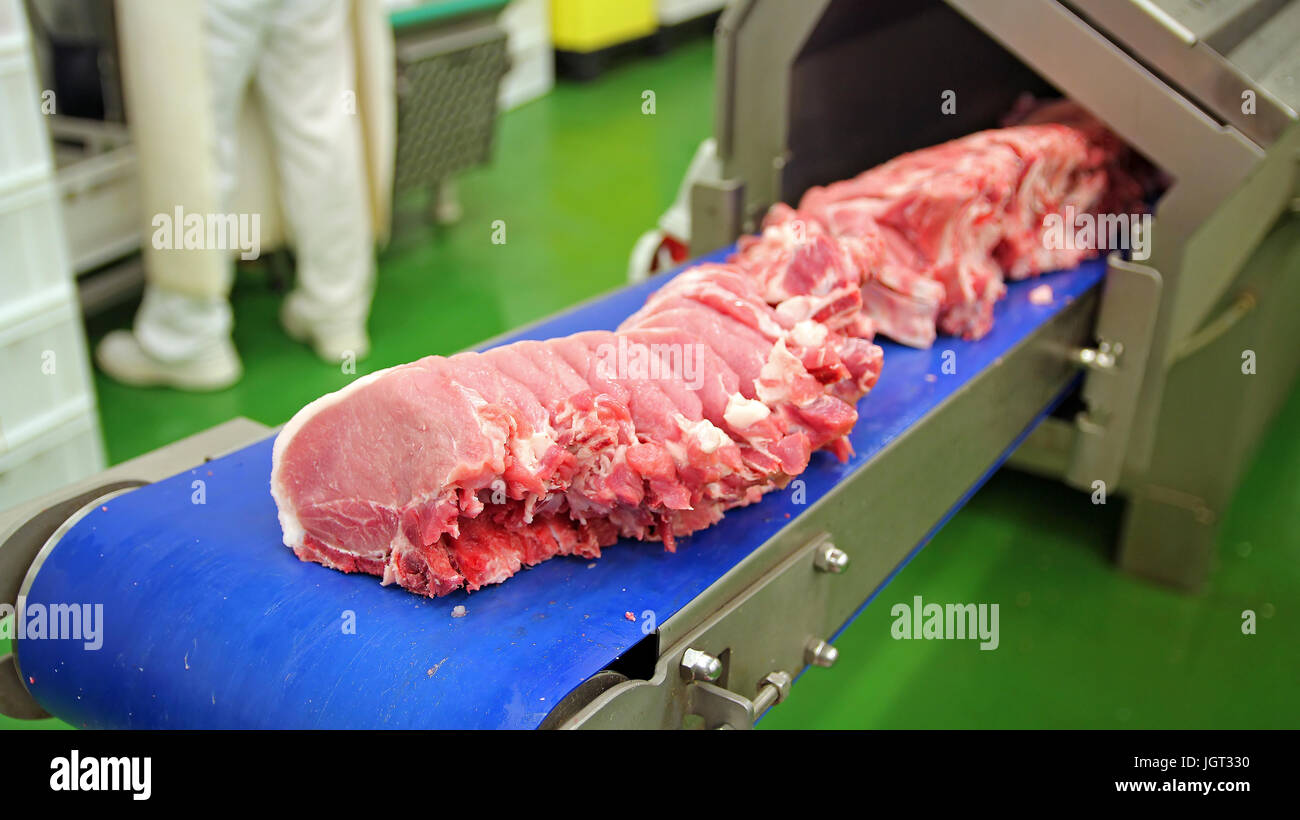 Materie di tagli di carne su un industriale della cinghia del convogliatore. Trasformazione della carne nel settore alimentare. Foto Stock