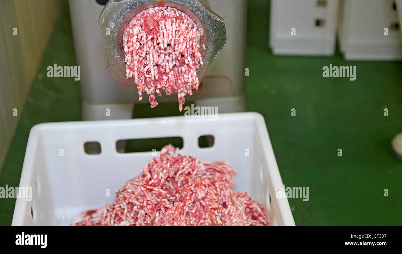 Carne tritacarne la macinazione delle carni in impianto per la trasformazione di carni. Fino vista ravvicinata della carne in terra. Foto Stock