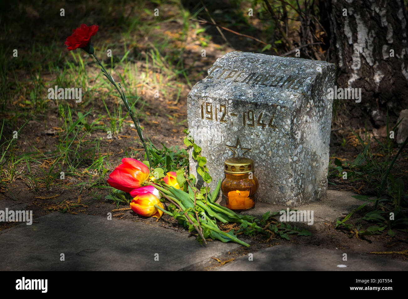 Candela che brucia e fiori tulipani acquisiti presso il monumento al soldato sovietico dell'armata rossa che sono morti durante la seconda guerra mondiale. Foto Stock