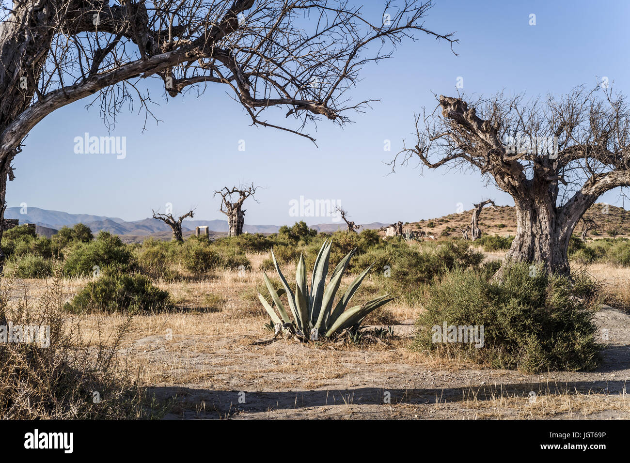 Meravigliosi paesaggi nel deserto di Tabernas, Andalusia, Spagna Foto Stock