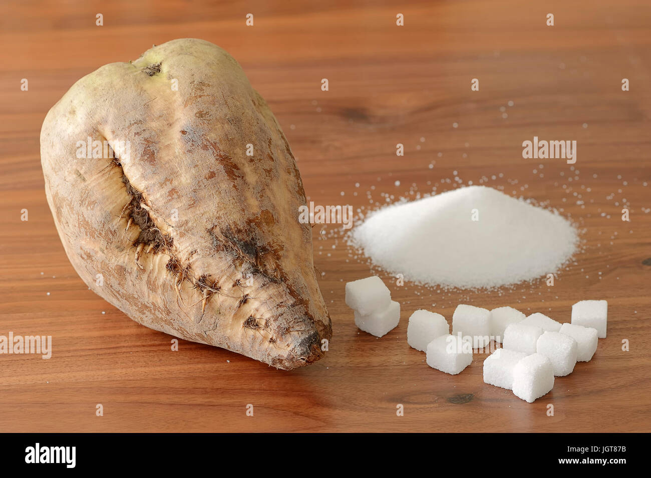 La barbabietola da zucchero e di zucchero bianco / (Beta vulgaris ssp. vulgaris var. altissima) / zucchero raffinato | Zuckerruebe Foto Stock