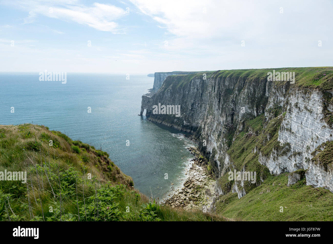 RSPB Riserva Naturale a Bempton Cliffs, East Riding of Yorkshire, Regno Unito. Foto Stock