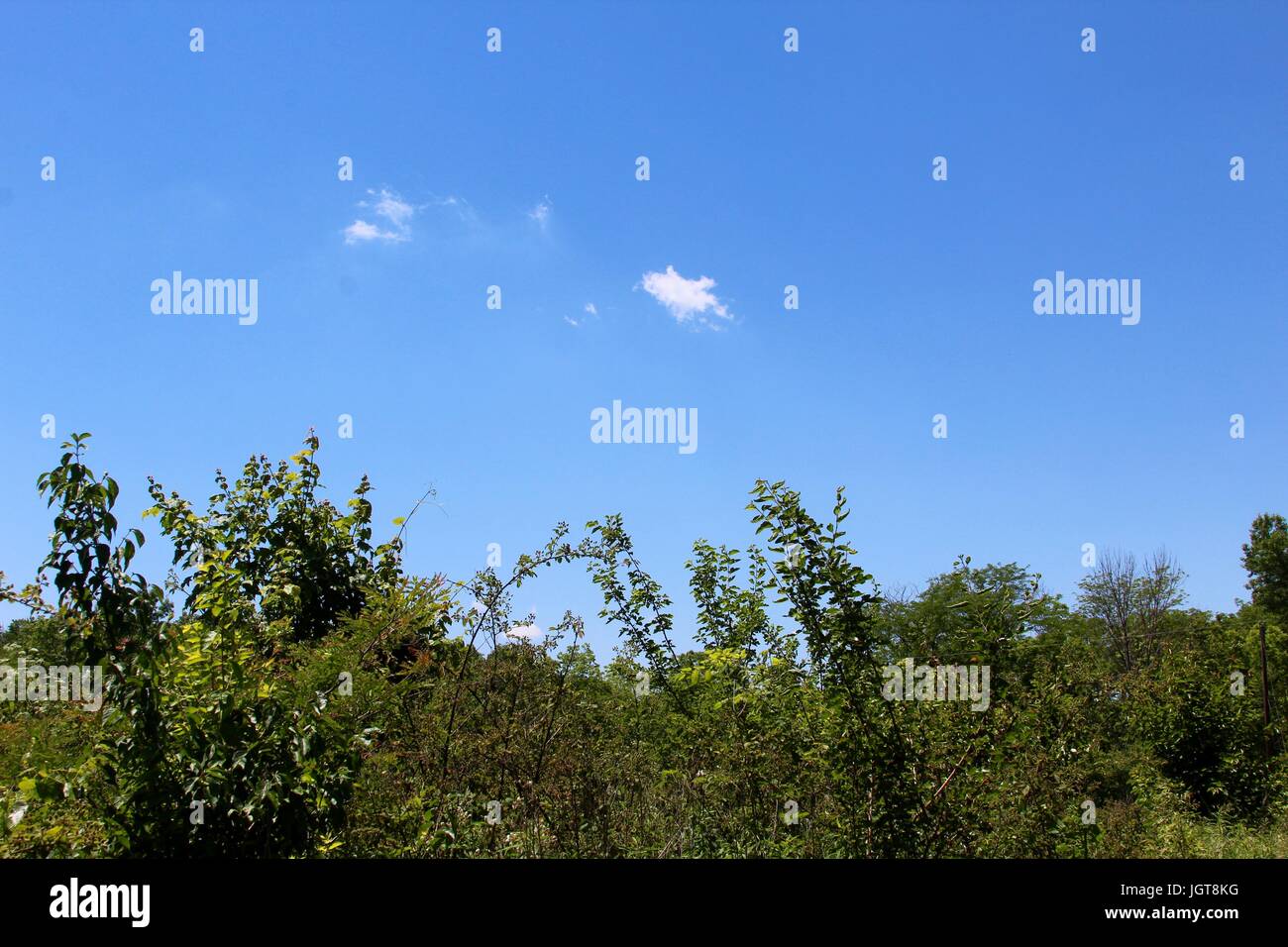 Il campo da baseball e i laghi del parco in un pomeriggio soleggiato giorno. Foto Stock