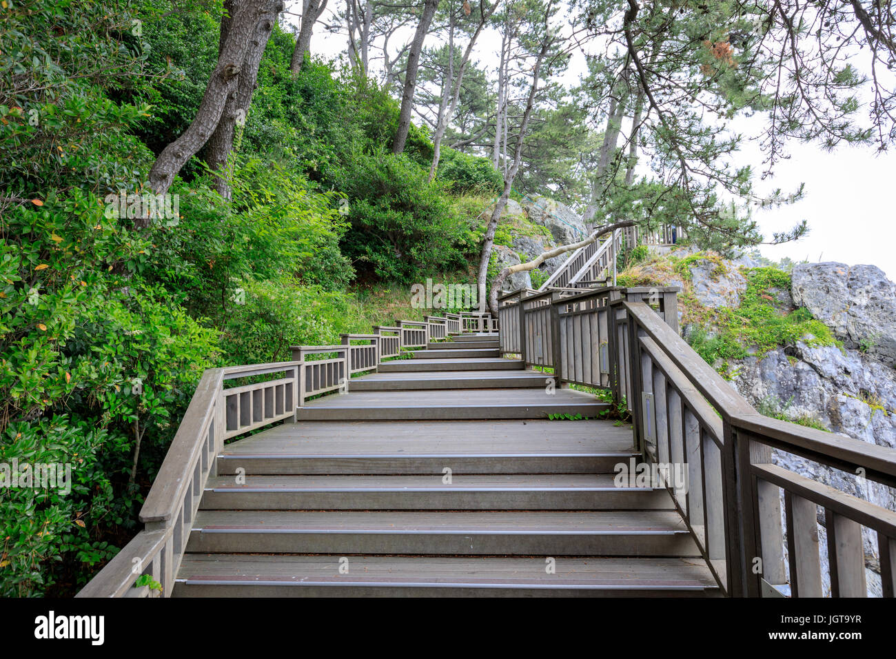 Giu 21, 2017 Dongbaekseom(Isola di camelie) costa marciapiede in Busan, Corea del Sud Foto Stock