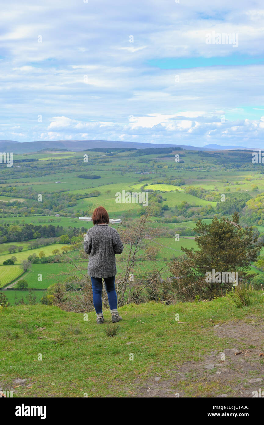 Guardando fuori attraverso la foresta di Bowland da Longridge cadde Foto Stock