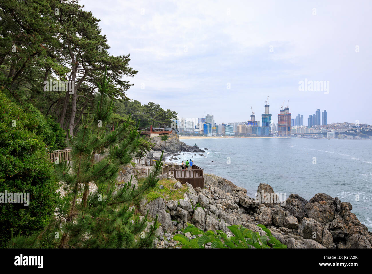 Giu 21, 2017 Dongbaekseom(Isola di camelie) costa marciapiede in Busan, Corea del Sud Foto Stock