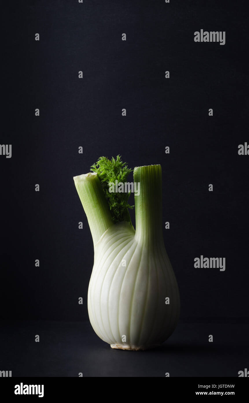 Colpo verticale di un singolo finocchio, con foglie, su una superficie di colore nero con sfondo nero. Dark; moody illuminazione. Foto Stock