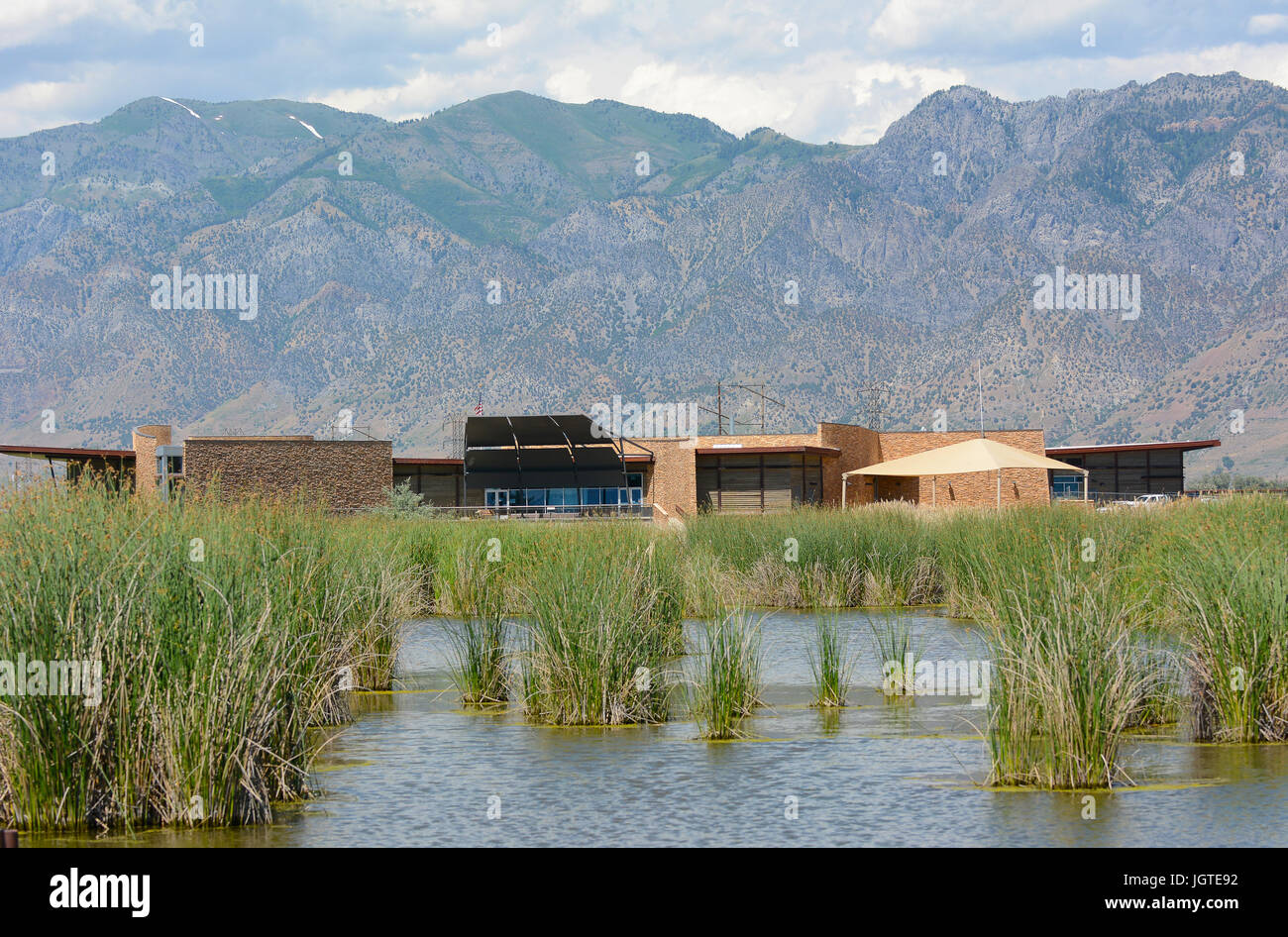 La Brigham City, Utah - Giugno 28, 2017: Recare il fiume uccello migratore rifugio. Il conservare è un 74.000 acri di National Wildlife Refuge, vicino al Grande Lago Salato Foto Stock