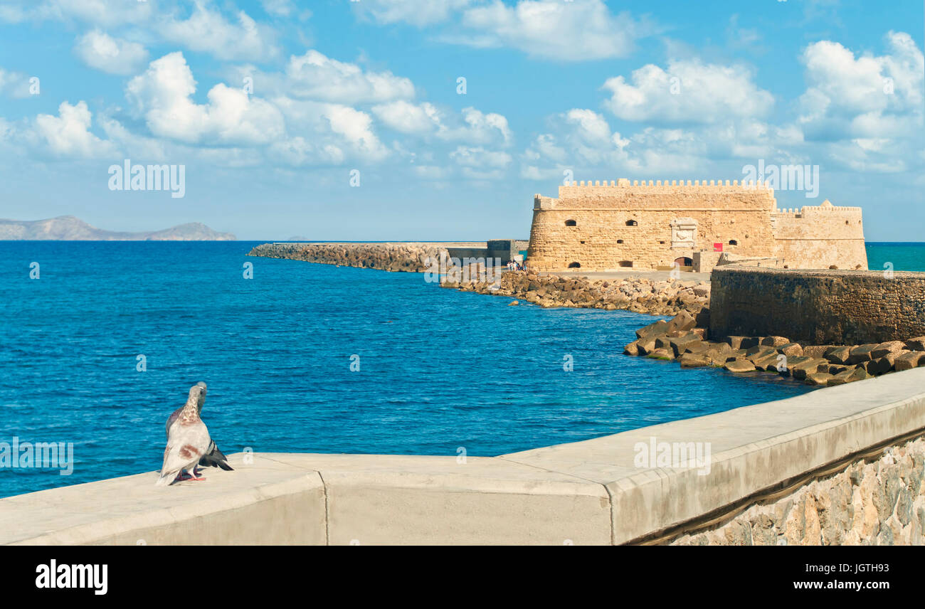Due piccioni baciare in luce calda del sole con Koules fortezza a sfondo contro il cielo blu, Heraklion, Creta, Grecia Foto Stock