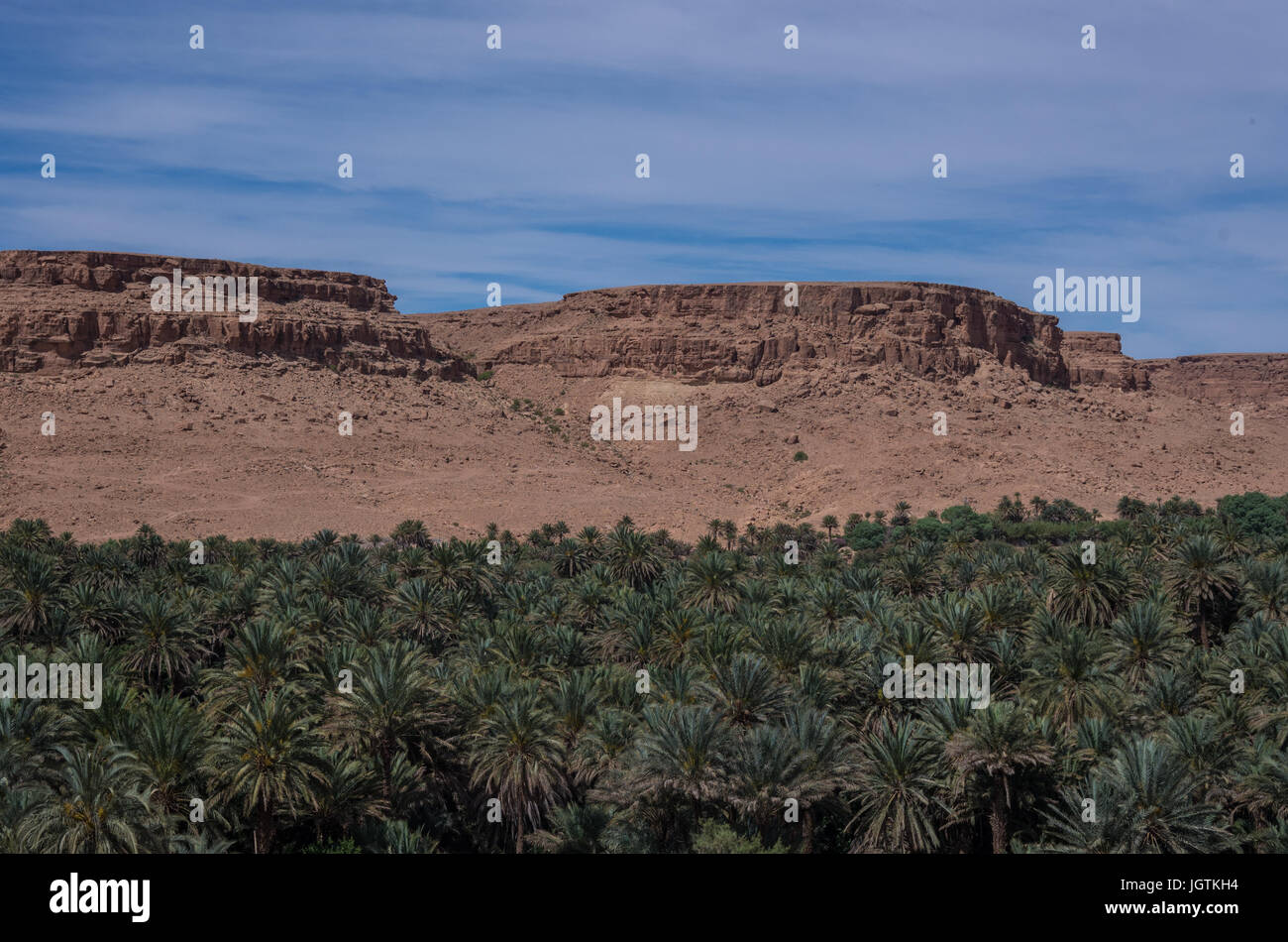 Enorme palmeto di Ziz River Valley, Marocco. Vista aerea Foto Stock