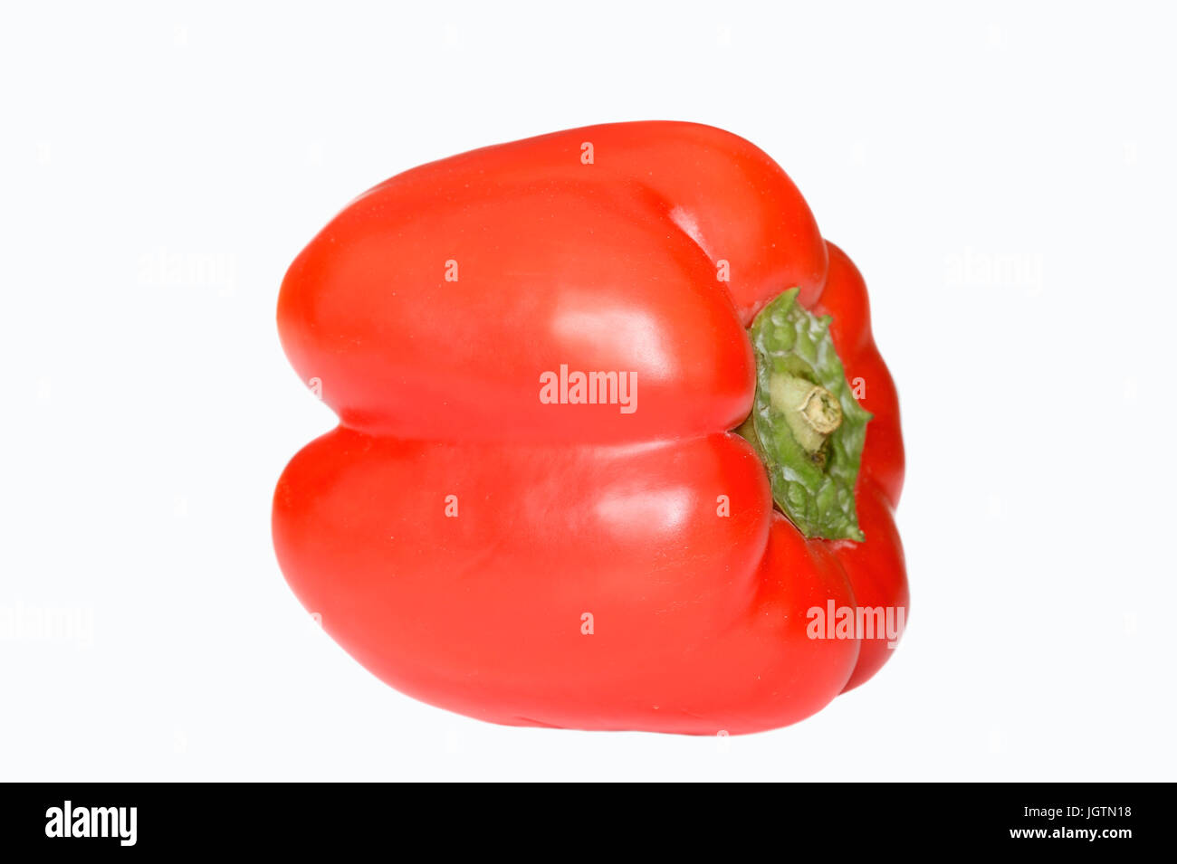 Rote Paprikaschote / (Capsicum annuum) | Pepe rosso frutta / (Capsicum annuum) Foto Stock