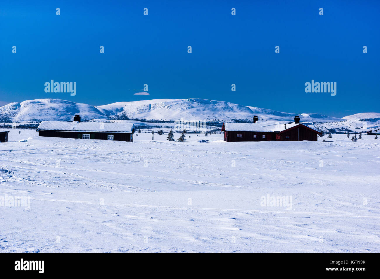 Cabine norvegese durante l'inverno. Le cabine appartengono a una zona denominata Forestadsseteren nel Venabufjell. Foto Stock