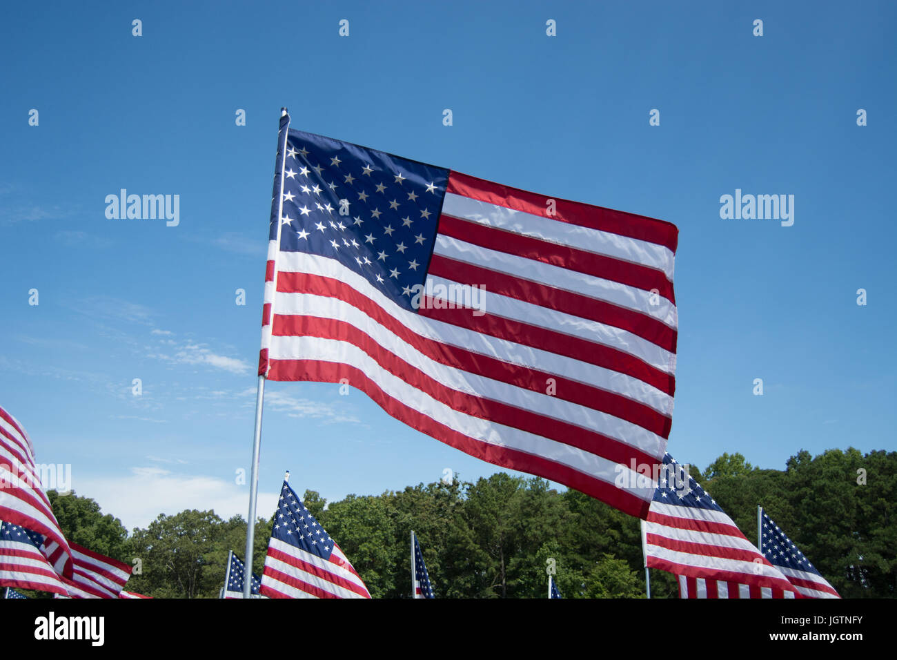 American bandiere al vento Foto Stock