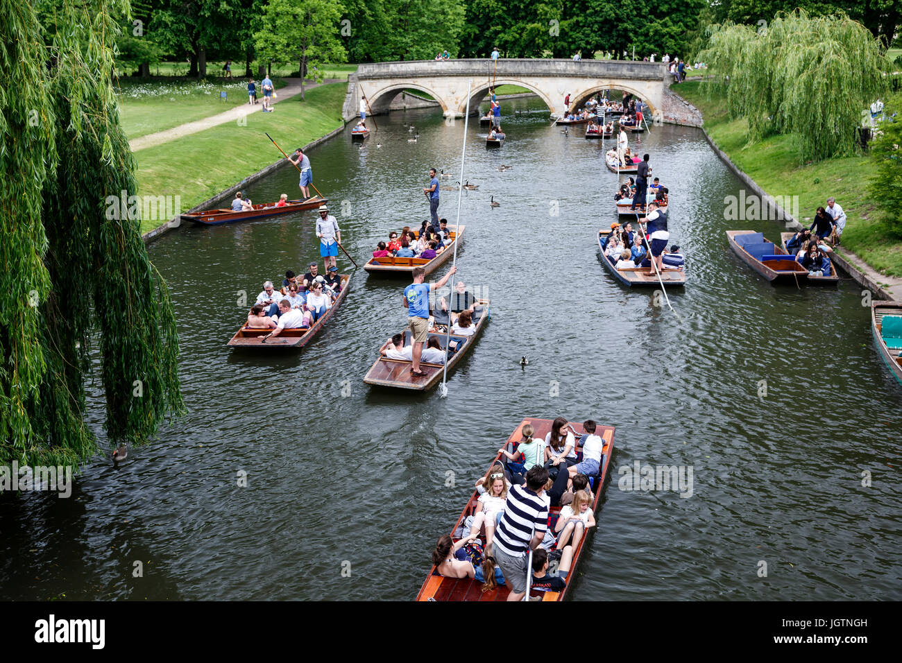 Persone punting sul fiume Cam, Cambridge, Cambridgeshire, England, Regno Unito Foto Stock