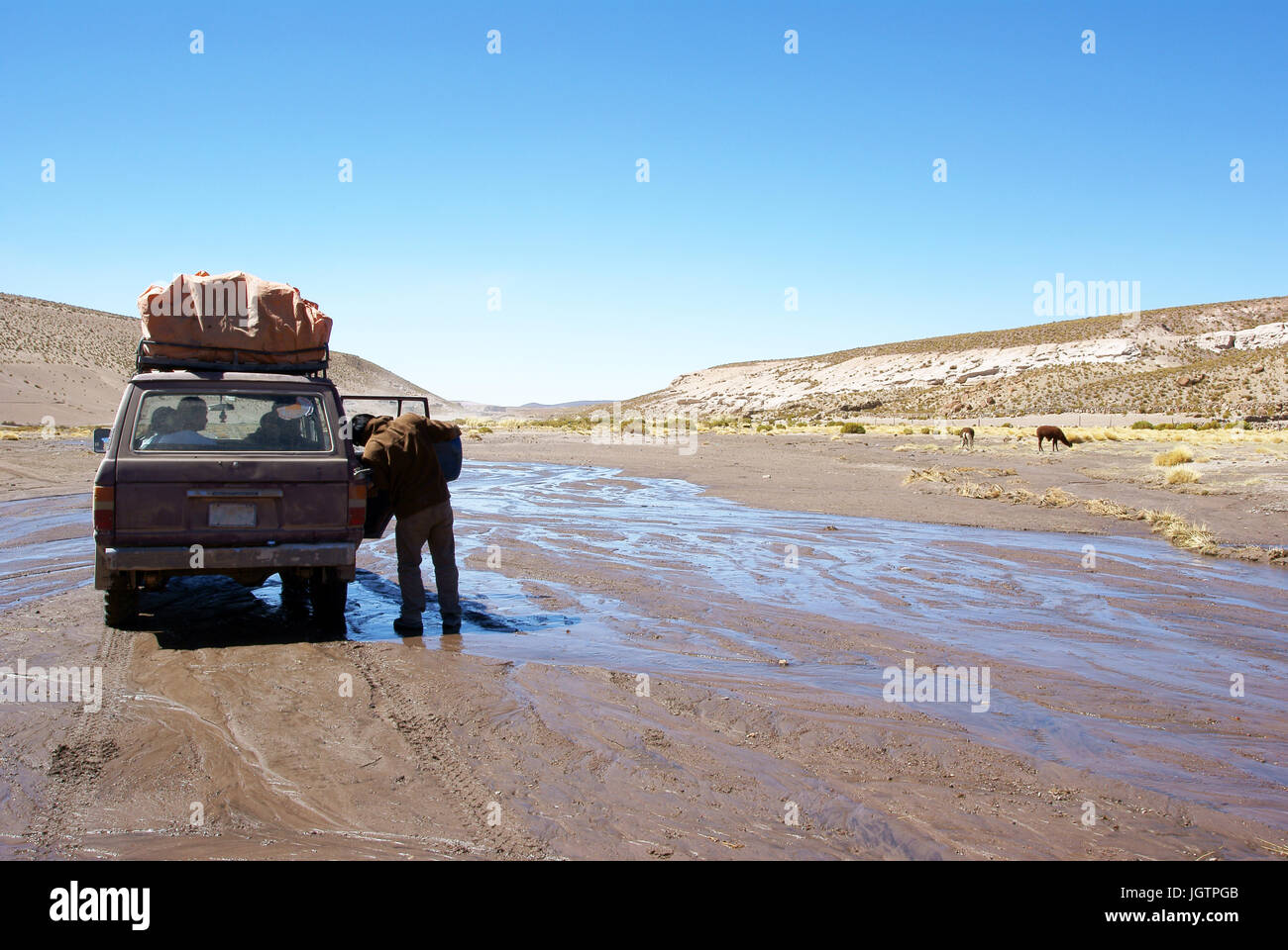Deserto di Lipez, dipartimento di Potosi, Sud Lipez Provincia, La Paz, Bolívia Foto Stock