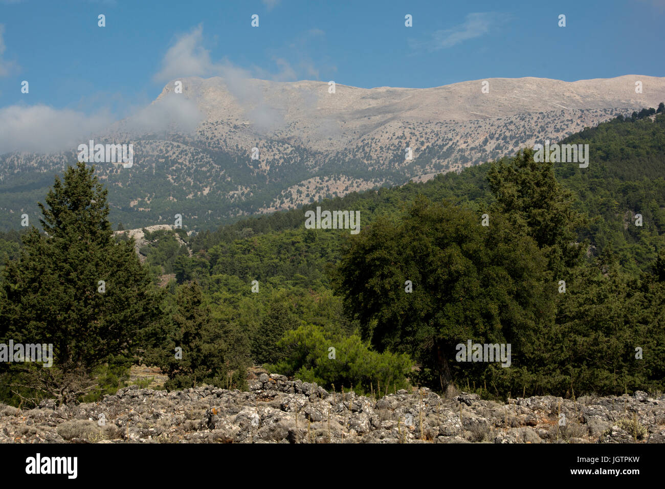 Lefka Ori o Montagne Bianche è una catena montuosa nella parte occidentale di Creta con gamme di ripida al mare Livyan presso la costa meridionale con qualche foresta di pini. Foto Stock