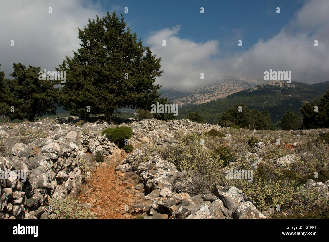 Lefka Ori o Montagne Bianche è una catena montuosa nella parte occidentale di Creta con gamme di ripida al mare Livyan presso la costa meridionale con qualche foresta di pini. Foto Stock