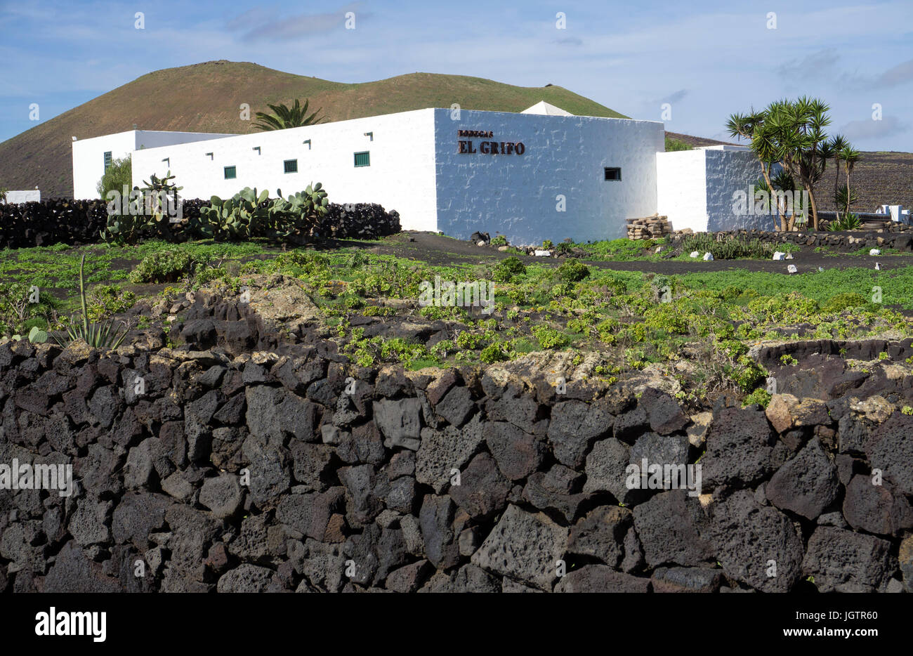 Bodega El Grifo con annesso museo del vino, vigneto presso La Geria, Lanzarote, Isole canarie, Spagna, Europa Foto Stock