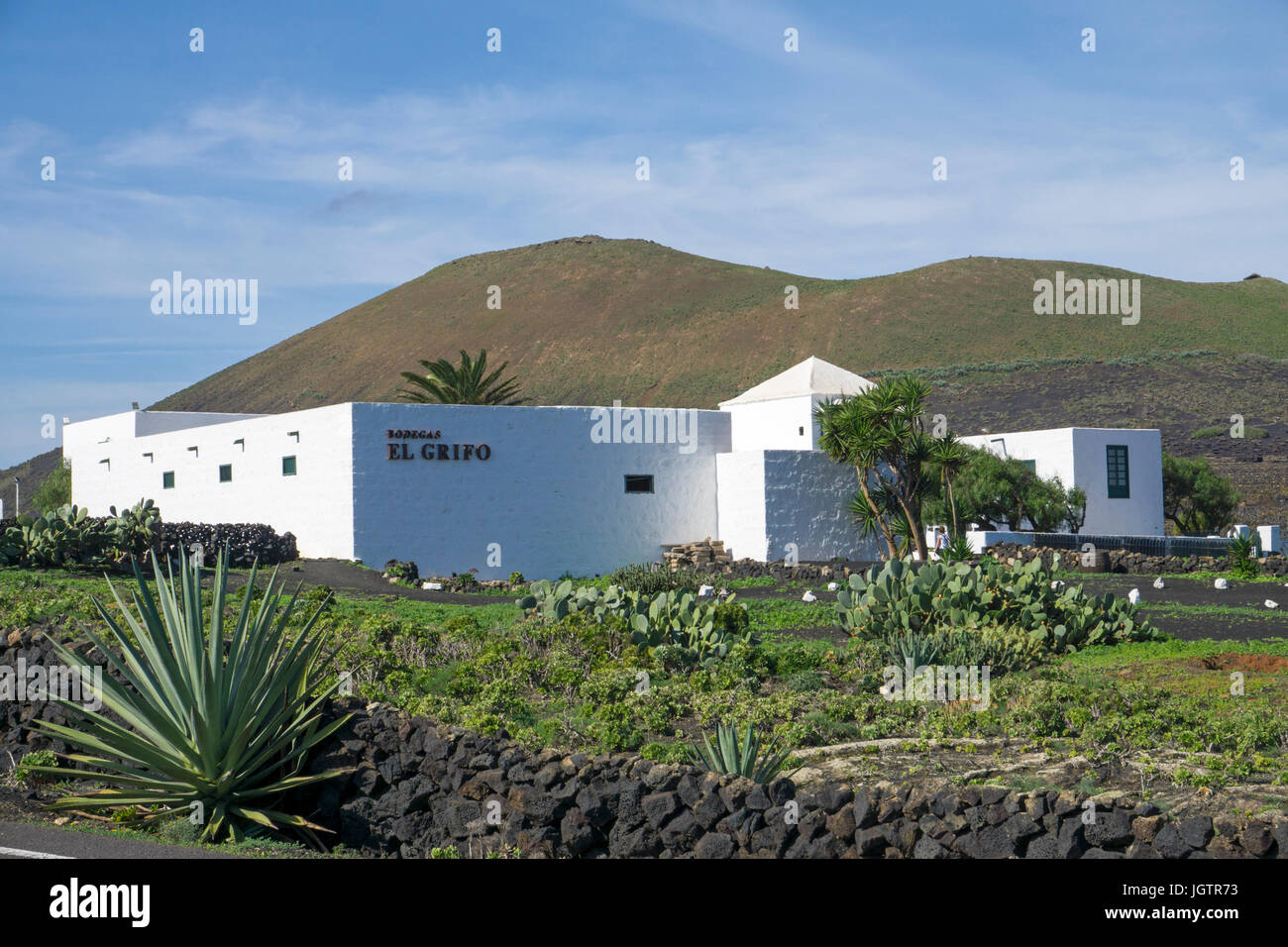 Bodega El Grifo con annesso museo del vino, vigneto presso La Geria, Lanzarote, Isole canarie, Spagna, Europa Foto Stock