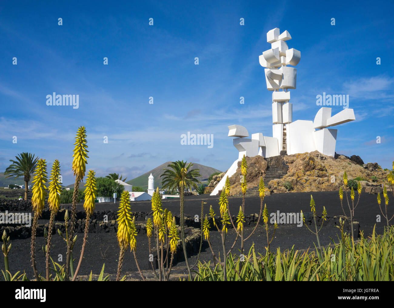 Echte aloe (Aloe Vera Aloe barbadensis) am Monumento al Campesino e Monumento a la Fecundidad von César Manrique, San Bartolome, Lanzarote, Kanarische Foto Stock