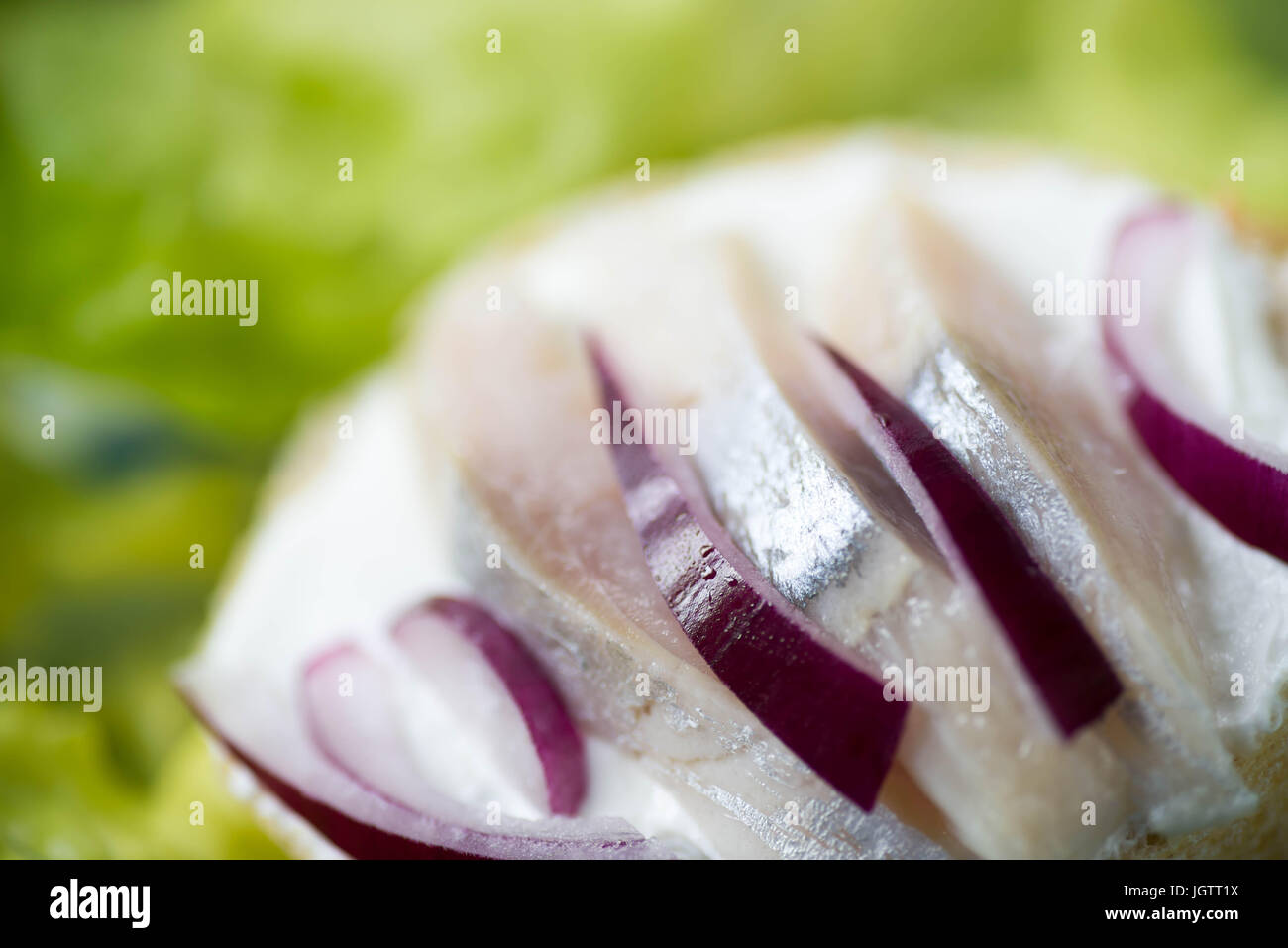 Una sana piccoli sandwich aperto con le aringhe e onionselective focus macro Foto Stock