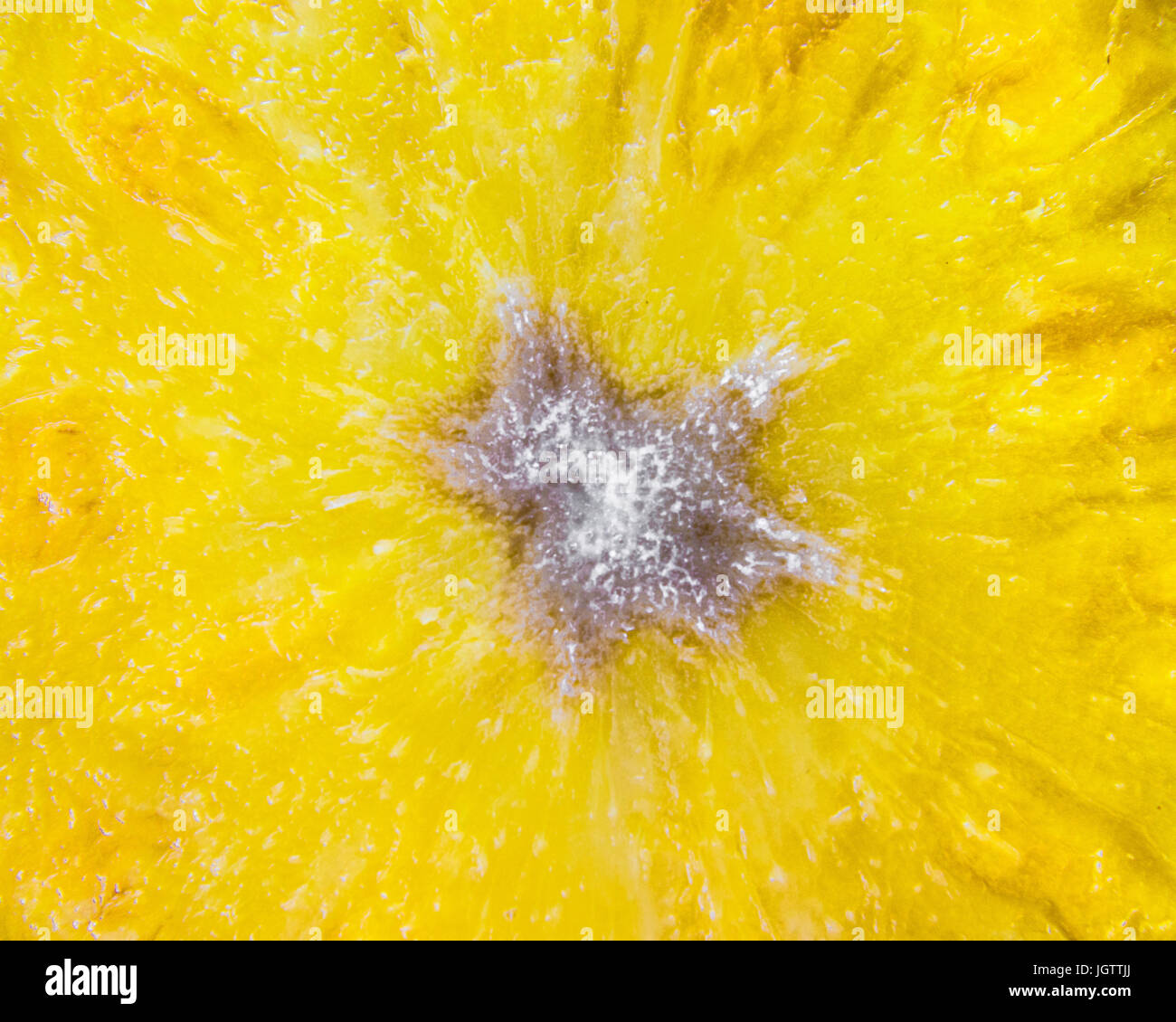 Ananas closeup Foto Stock