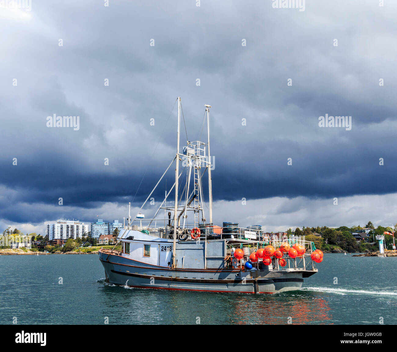 La pesca commerciale barca Nordic Rand off Isola di Vancouver, BC, Canada, la pesca di gamberetti (come i gamberi ma più grande). Foto Stock