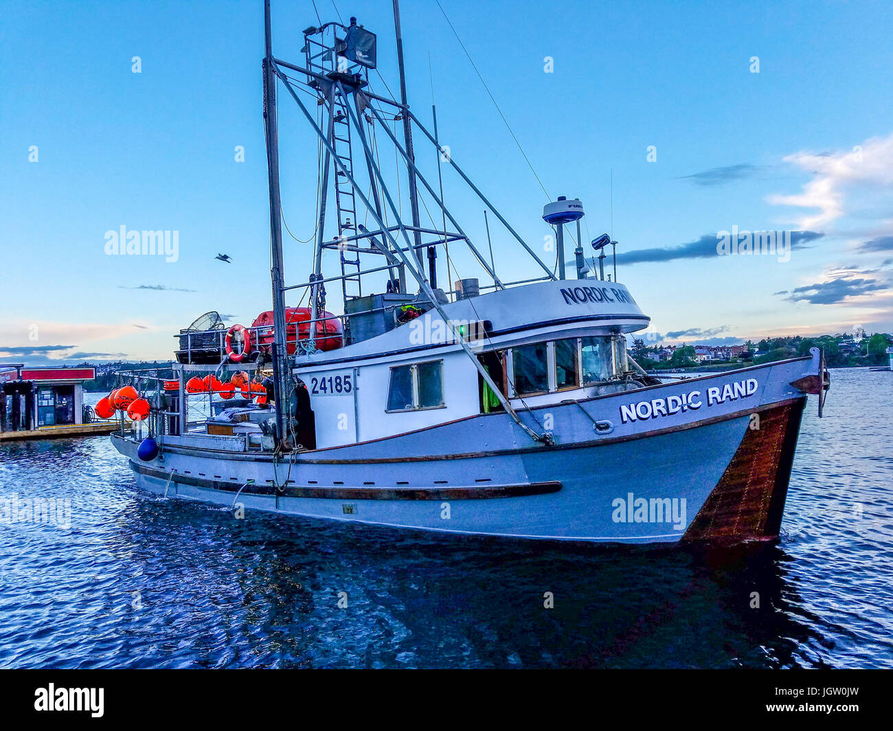 La pesca commerciale barca Nordic Rand off Isola di Vancouver, BC, Canada, la pesca di gamberetti (come i gamberi ma più grande). Foto Stock