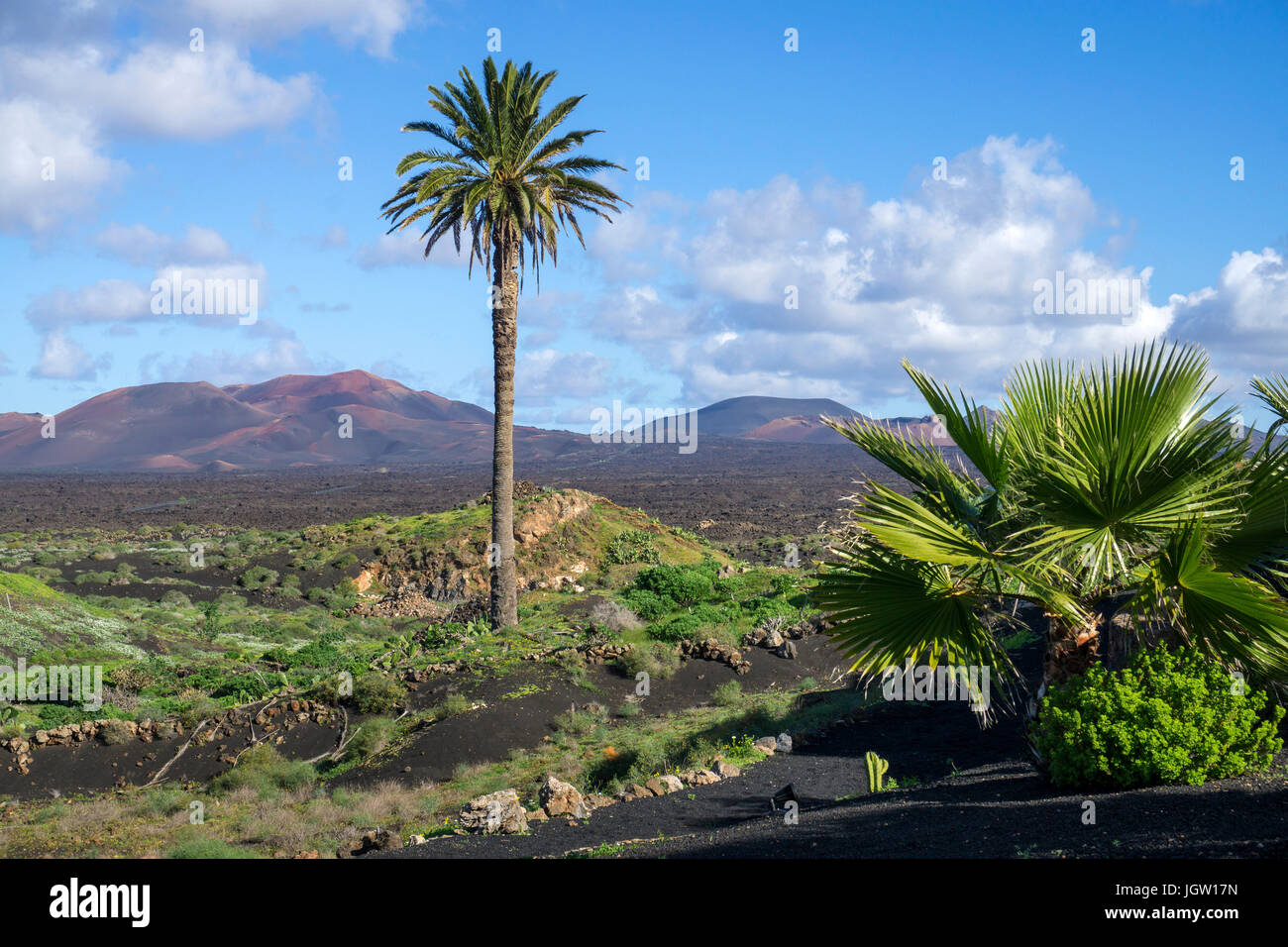 Paesaggio vulcanico tra Yaiza e Uga, dietro il fuoco montagne Montanas del Fuego, Nationalpark Timanfaya, Lanzarote, Isole Canarie, Europa Foto Stock