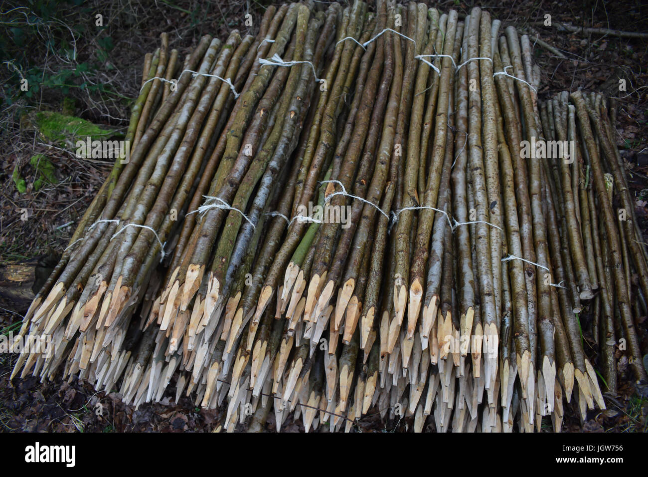 pali di legno Foto Stock