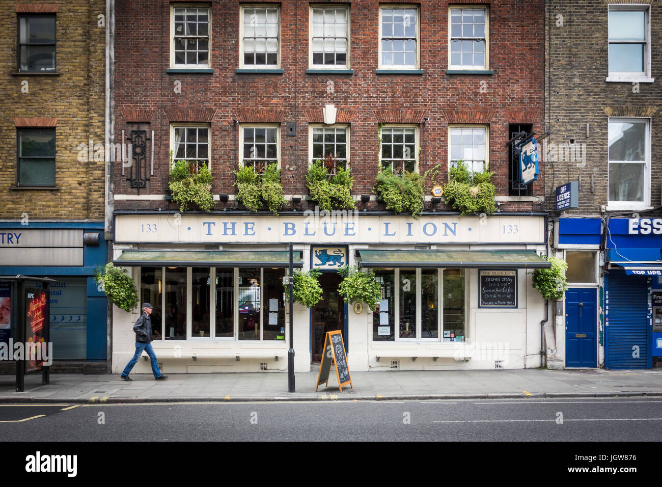 Il Blue Lion public house pub Bloomsbury, Londra Foto Stock