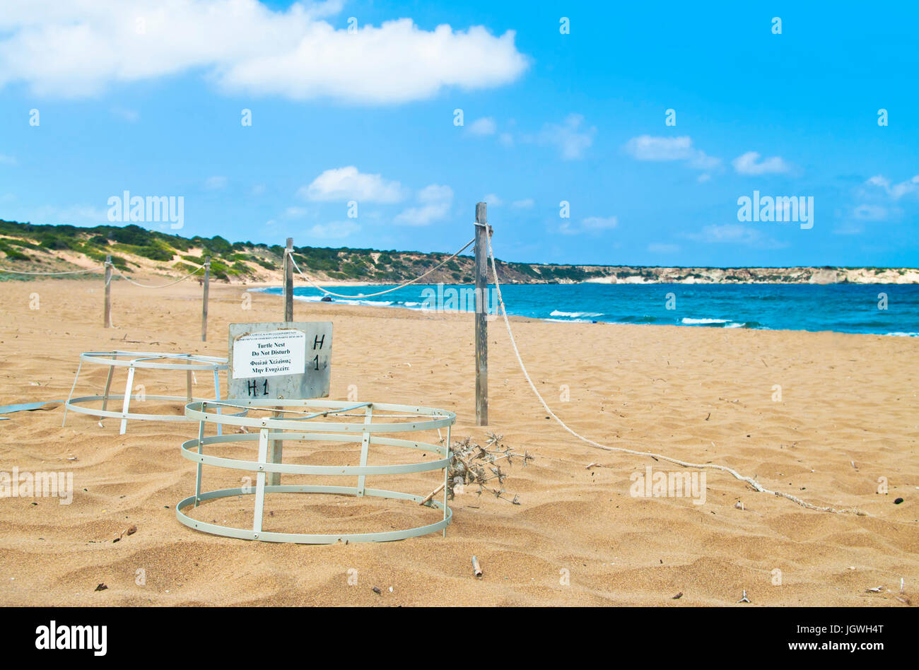 Turtle Nest gabbia protettiva su lara beach sulla penisola di Akamas, Cipro Foto Stock