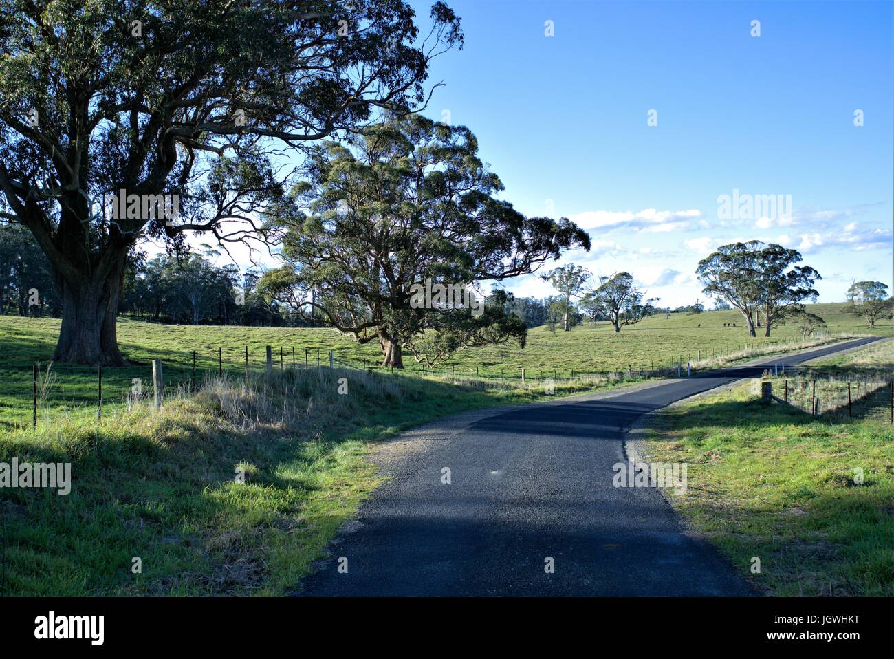 Bella strada di campagna con erba verde, alberi e cielo blu nel lontano sullo sfondo del Nuovo Galles del Sud Australia Foto Stock