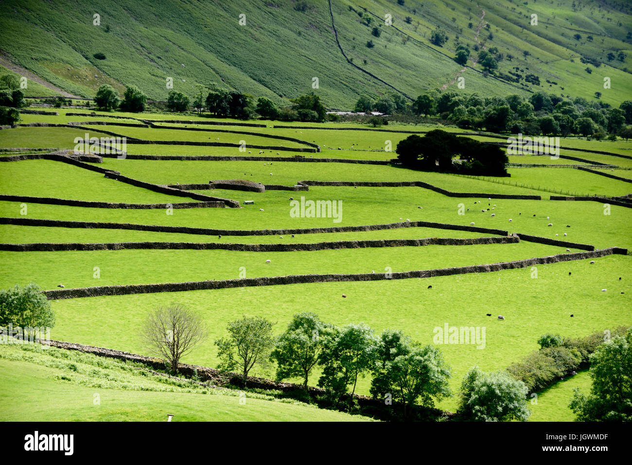 Enclosures england immagini e fotografie stock ad alta risoluzione Alamy
