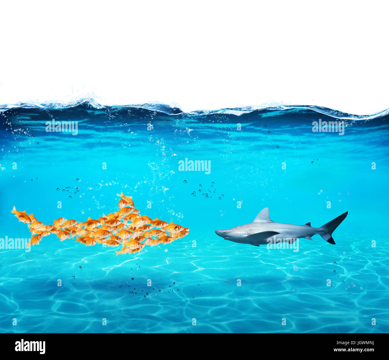 Lo squalo grande fatta di goldfishes. Concetto di unità è la robustezza,il lavoro di squadra e la collaborazione Foto Stock