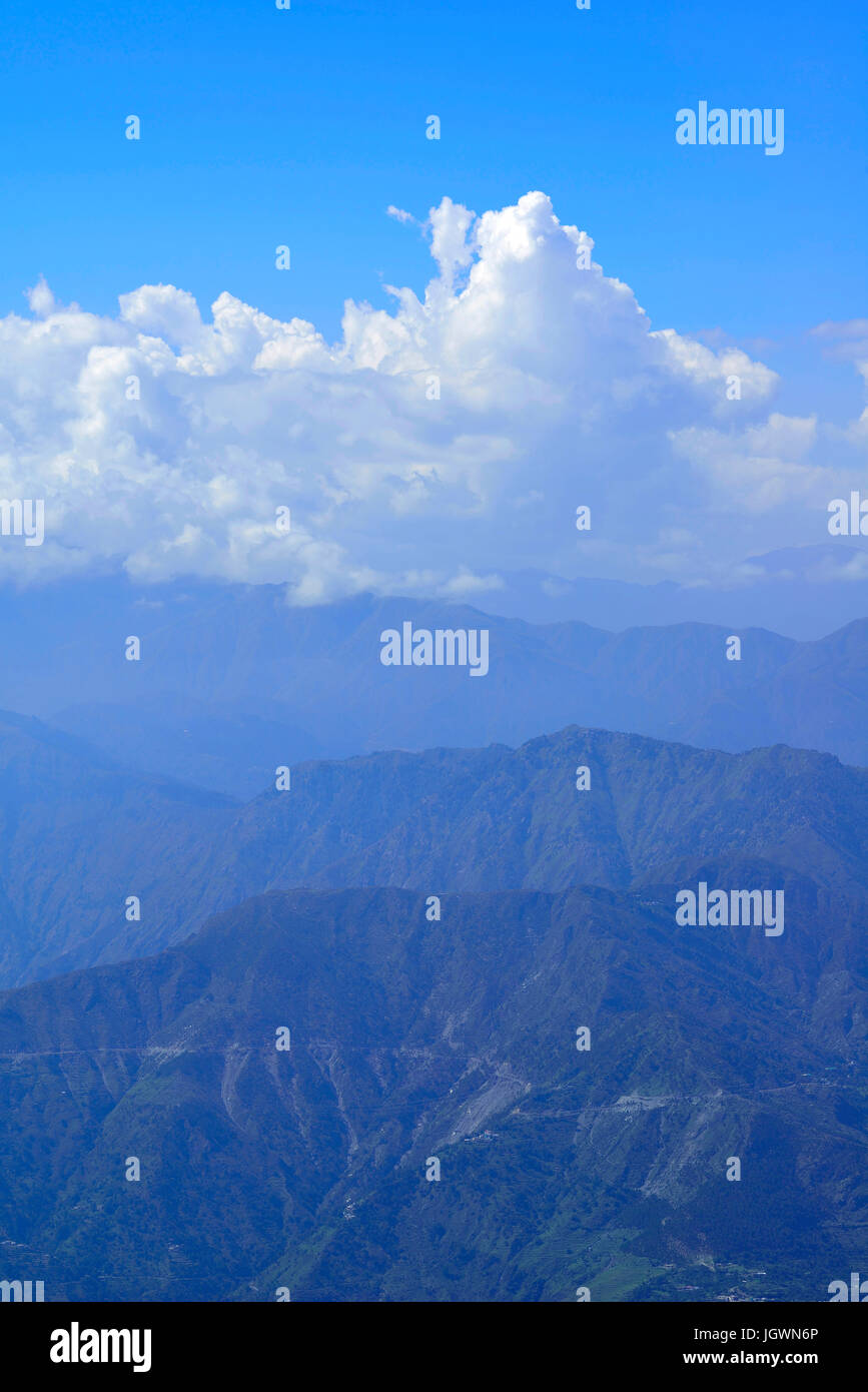 L'Himalayan Mountain Range di cedro e di pineta Foto Stock