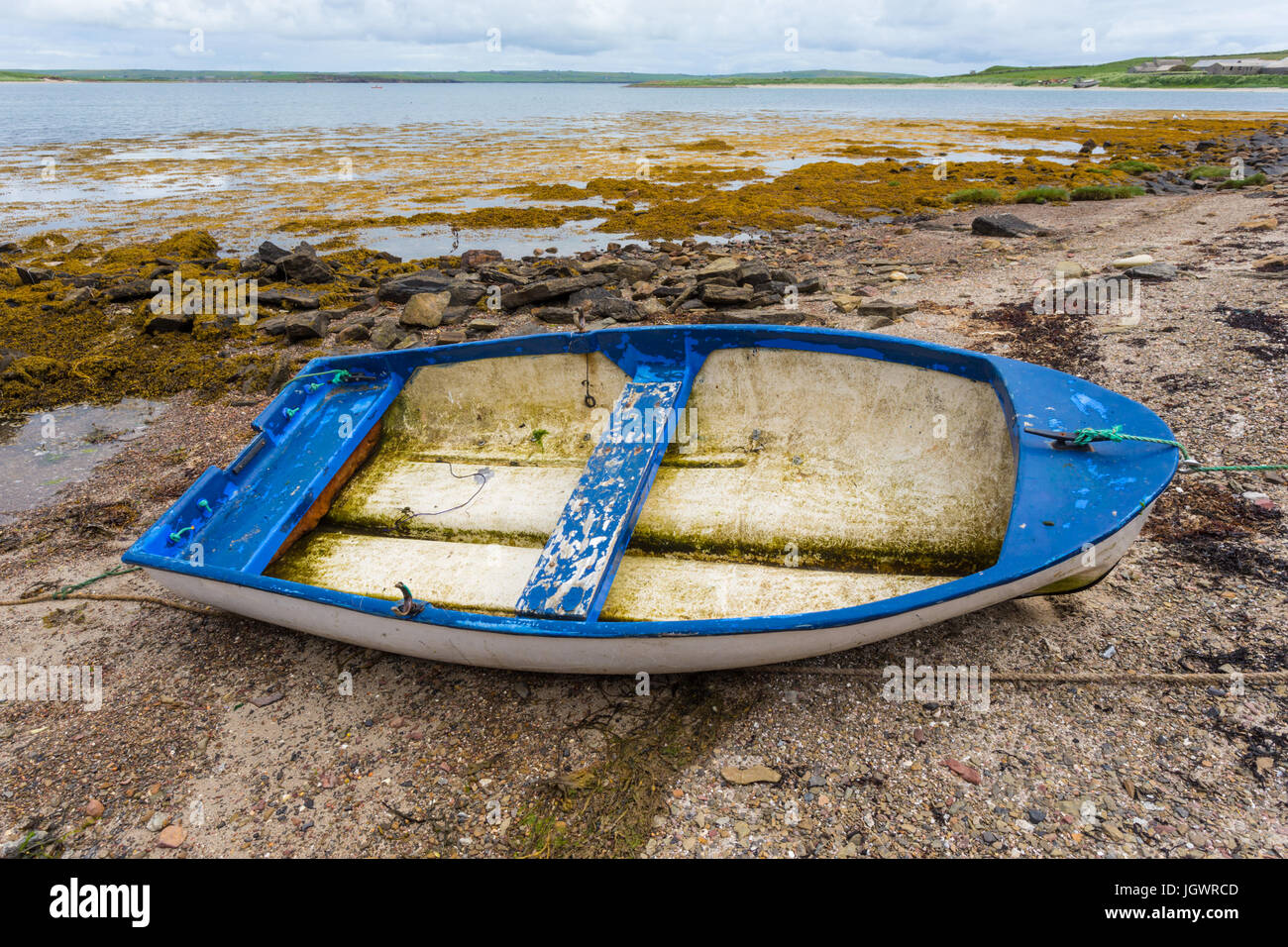 Vecchia barca a remi sulla riva con la bassa marea, isole Orcadi Scozia, Regno Unito Foto Stock