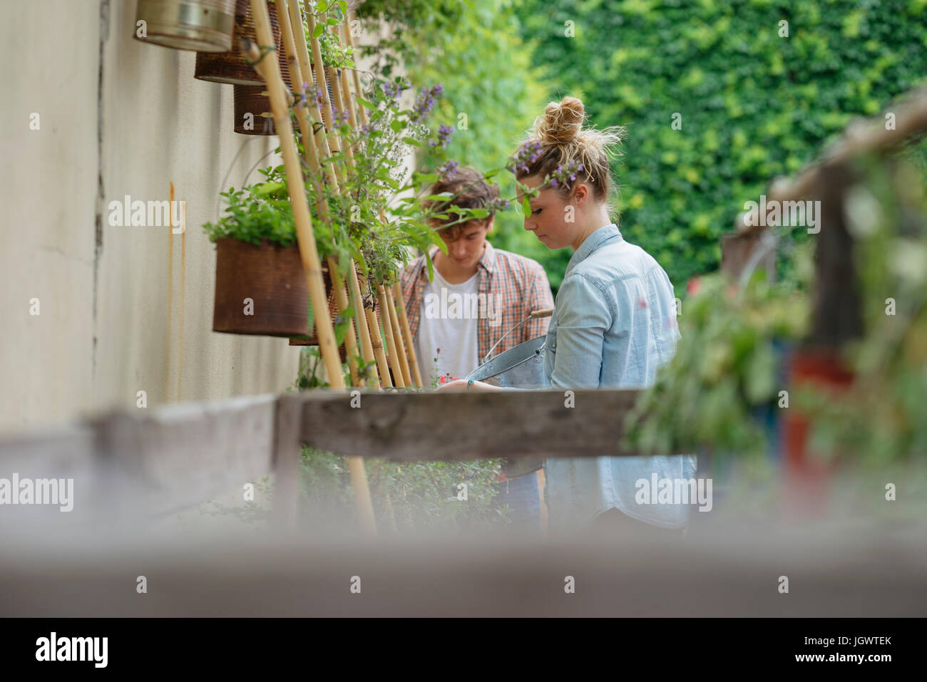 Giovane uomo e donna tendente a piante che crescono in lattine in giardino urbano Foto Stock
